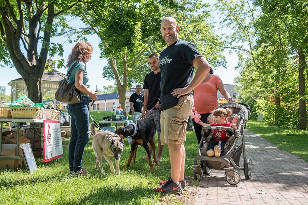 Niagara Pet Photographer: Dog Day in the Park