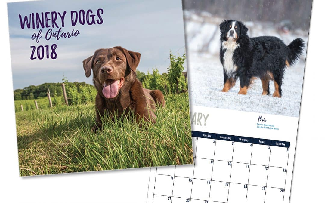 Winery Dogs of Ontario Calendar