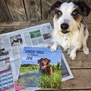 Winery Dogs calendar and Globe and Mail article