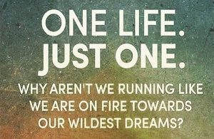 One life. Just One. Why aren't we running like we are on fire towards our wildest dreams