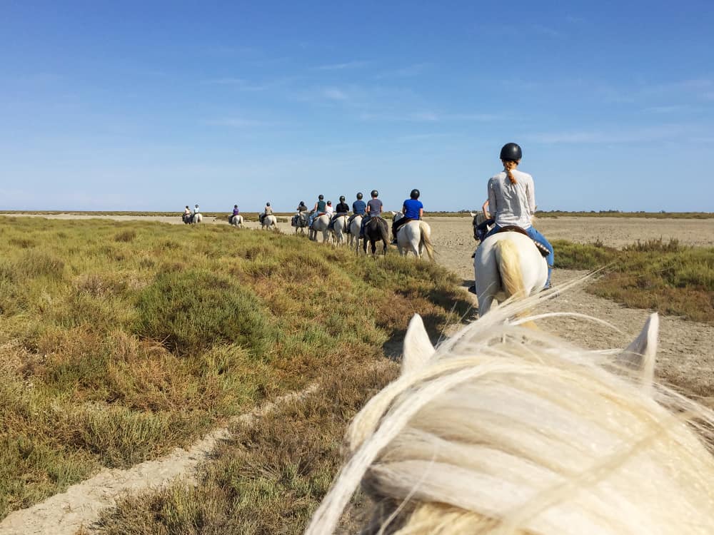 Riding on the beach in the Camargue
