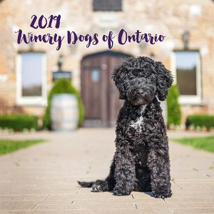 2019 Winery Dogs of Ontario Calendar