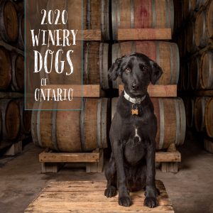 2020 Winery Dogs of Ontario Calendar cover