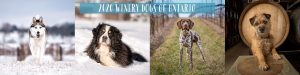 The first 4 months of winery dog calendar