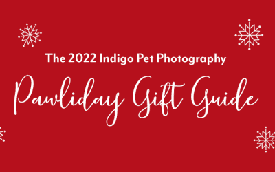 Top 10 Gifts in my 2022 Holiday Gift Guide