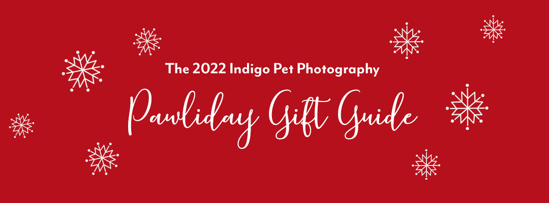 The 2022 Indigo Pet Photography Pawliday Gift Guide