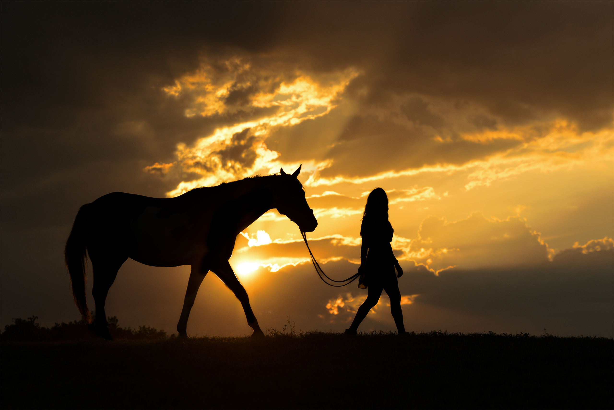 sunset silhouette phot of woman and her horse
