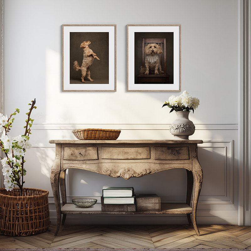 two english sheepdogs in niagara falls garden