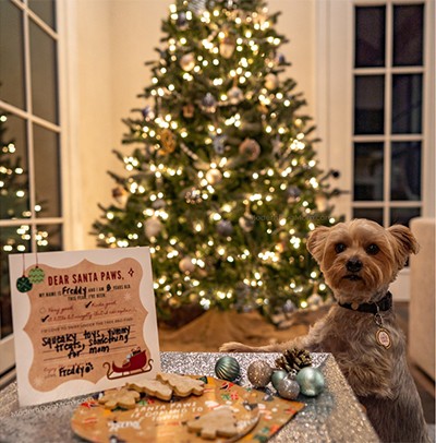 Modern-Dog-Mom-Gift-Idea copy