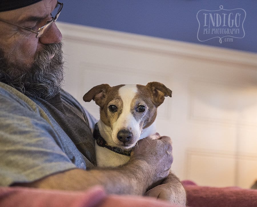 Niagara-Pet-photographer-Indigo-Pet-Photog-Thomas