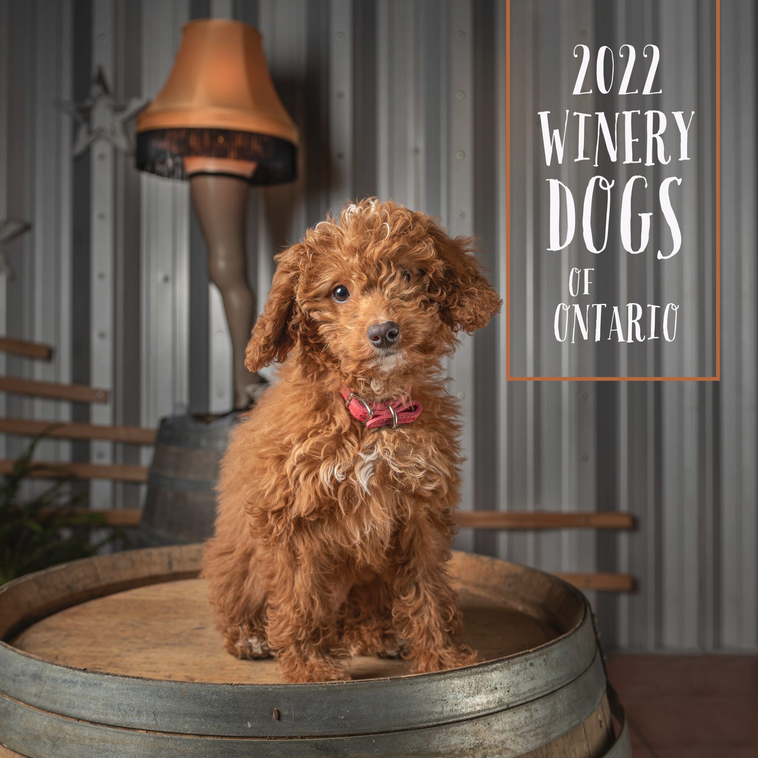Penny cover copy Winery Dogs of Ontario 2022 cover