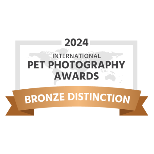 award-bronze-distinction-PPOTY