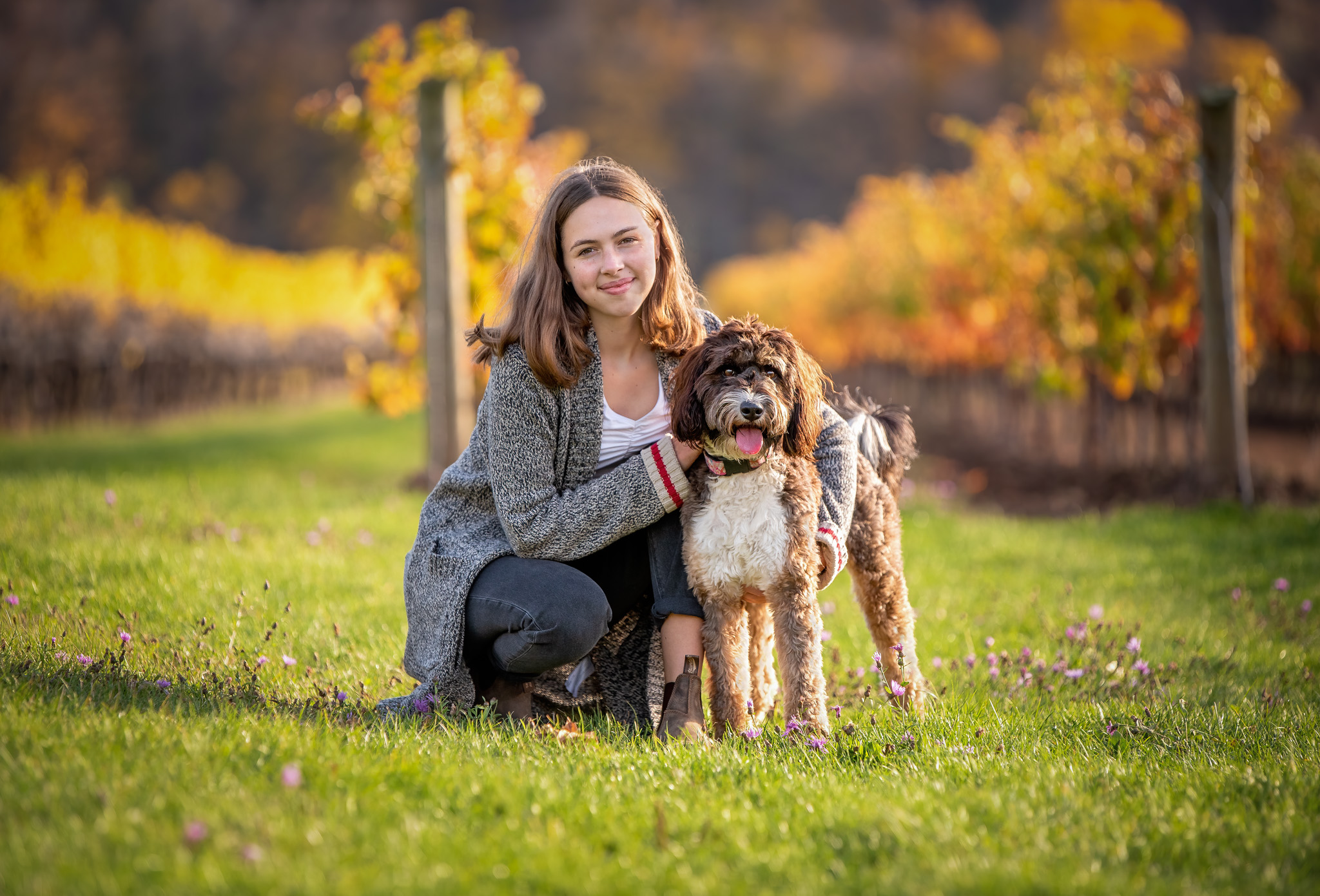 niagara-dog-session-niagara-boots-fall Therapy dog posing outdoors during a lesson on dog photography tips for students at a St. Catharines high school