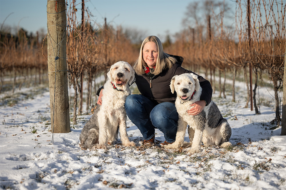 senior old english sheep dogs and mom at cave spring vineyard