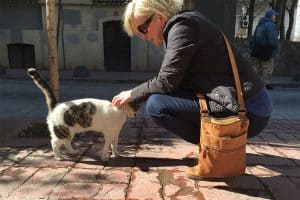 Ontario Pet Photographer Karen Black saying merhaba to a local street cat in Istanbul