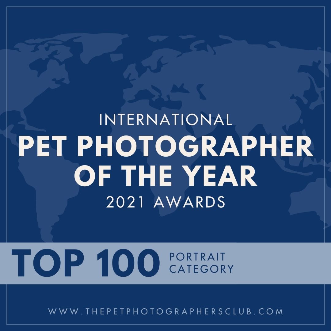 International Pet Photographer of the Year 2021 Top 100 Portrait category