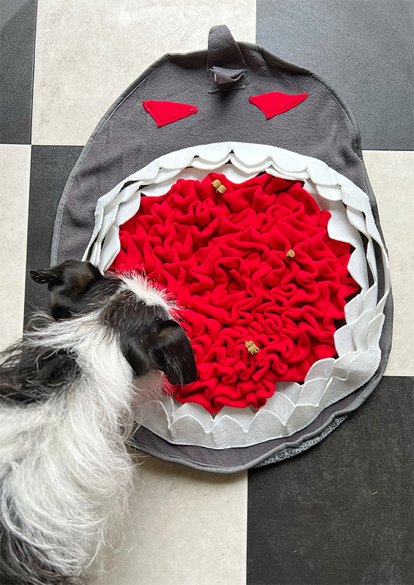 shark-snuffle-mat dog exploring snuffle mat