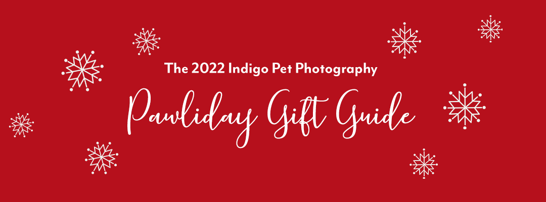 Top 10 Gifts in my 2022 Holiday Gift Guide