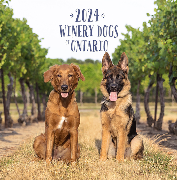 Winery Dogs of Ontario 2024 calendar cover photo