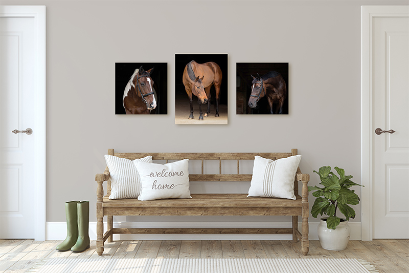 equine canvas collection web