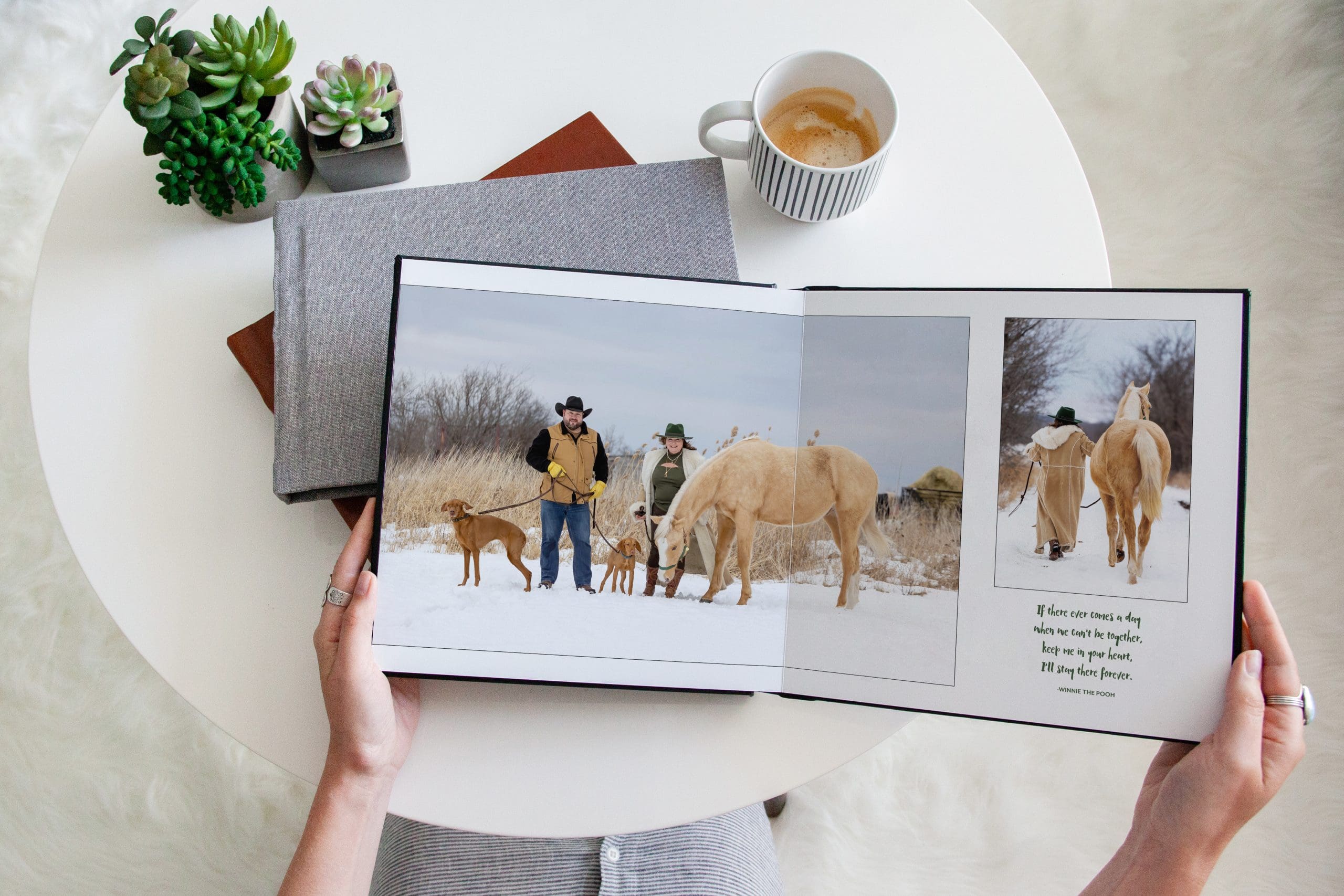 equine storybook mockup