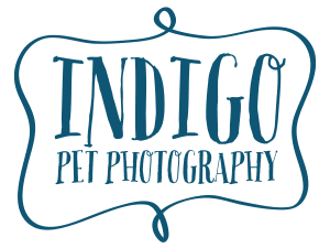 Indigo Pet Photography logo