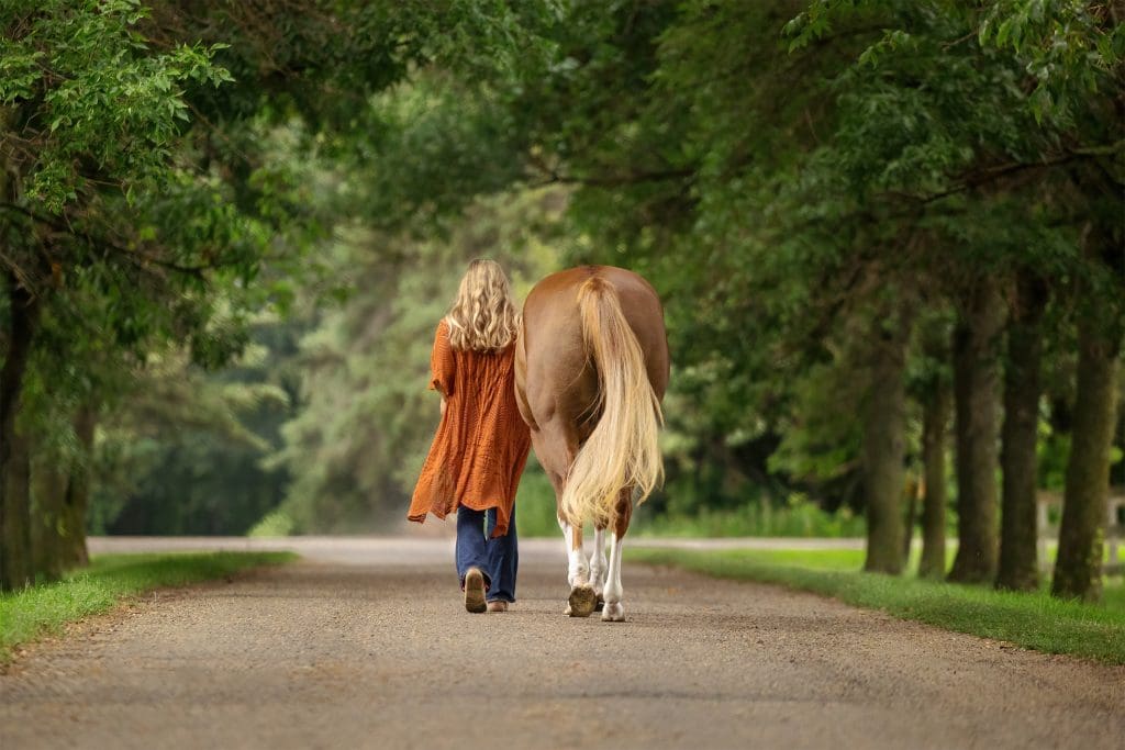 woman and her horse walking away from camera on a tree lined road