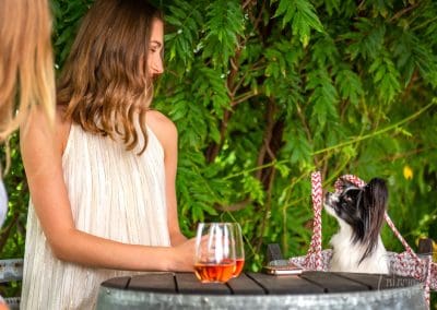 Young woman looks lovingly at papillon in carrier at Good Earth winery by Indigo Pet Photography
