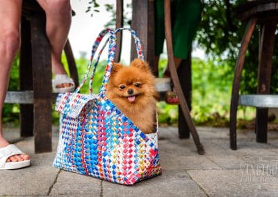 small pomeranian dog in hand woven dog carrier by Mother Erth