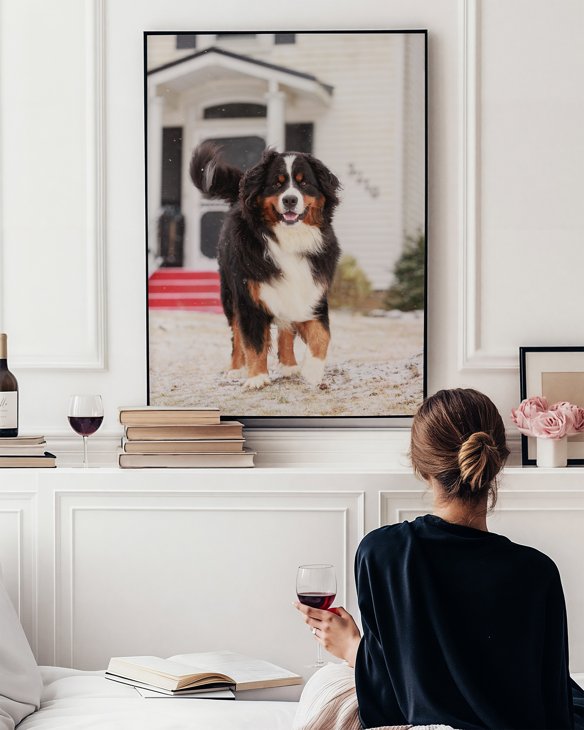 bernese mountain dog in snow in front of house in Jordan, Niagara