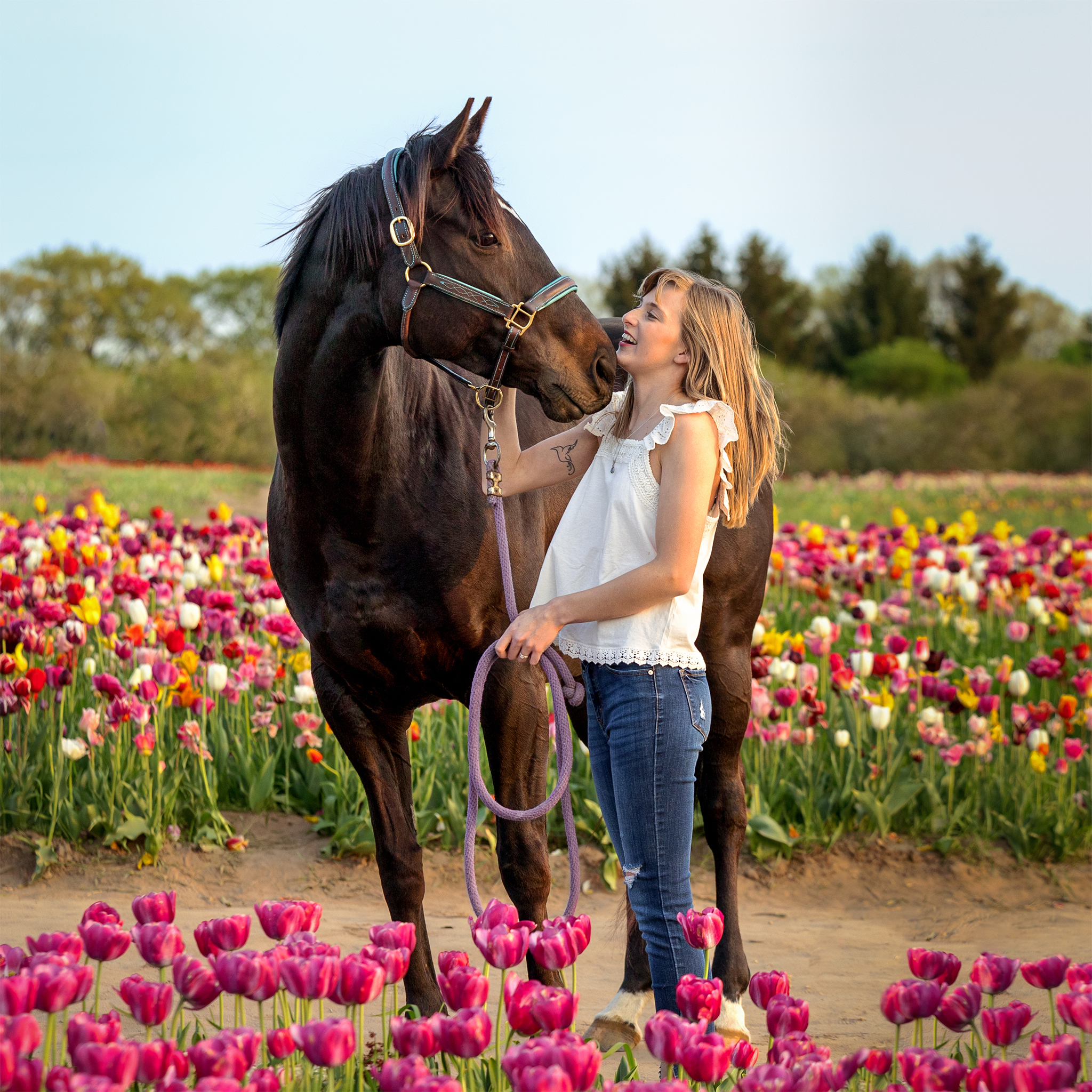 horse and rider among tulips font hill indigo pet photography
