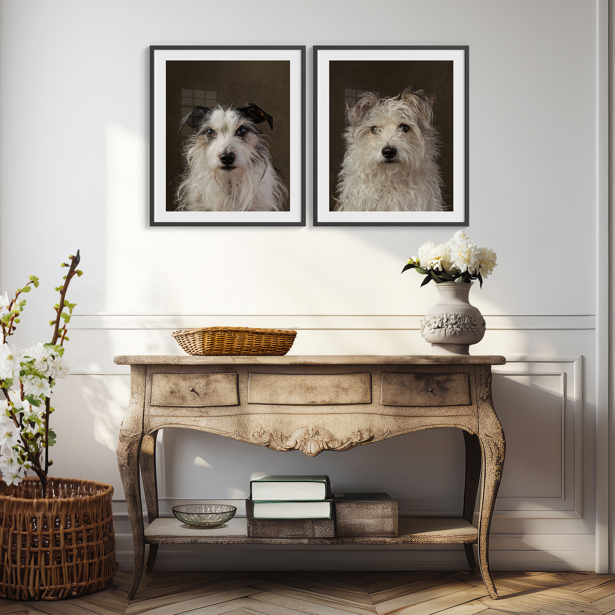 jack russell and terrier studio portraits framed on wall